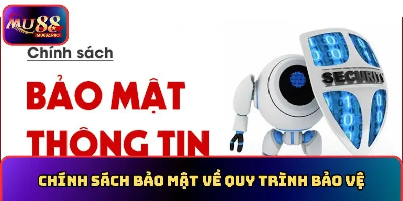 Chính sách bảo mật về quy trình bảo vệ