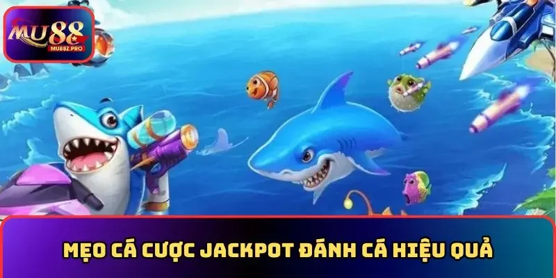 Mẹo cá cược jackpot đánh cá hiệu quả