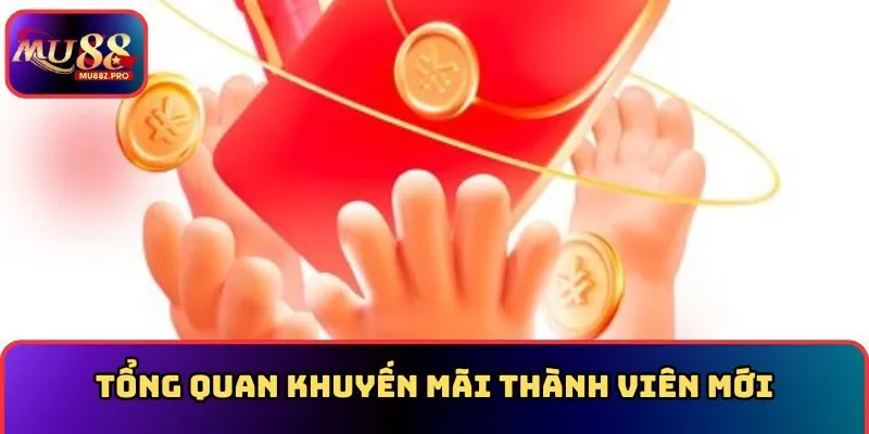 Tổng quan về chương trình khuyến mãi thành viên mới